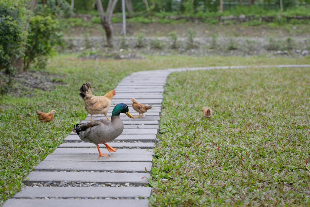 Just Like Villa Ji'an Luaran gambar